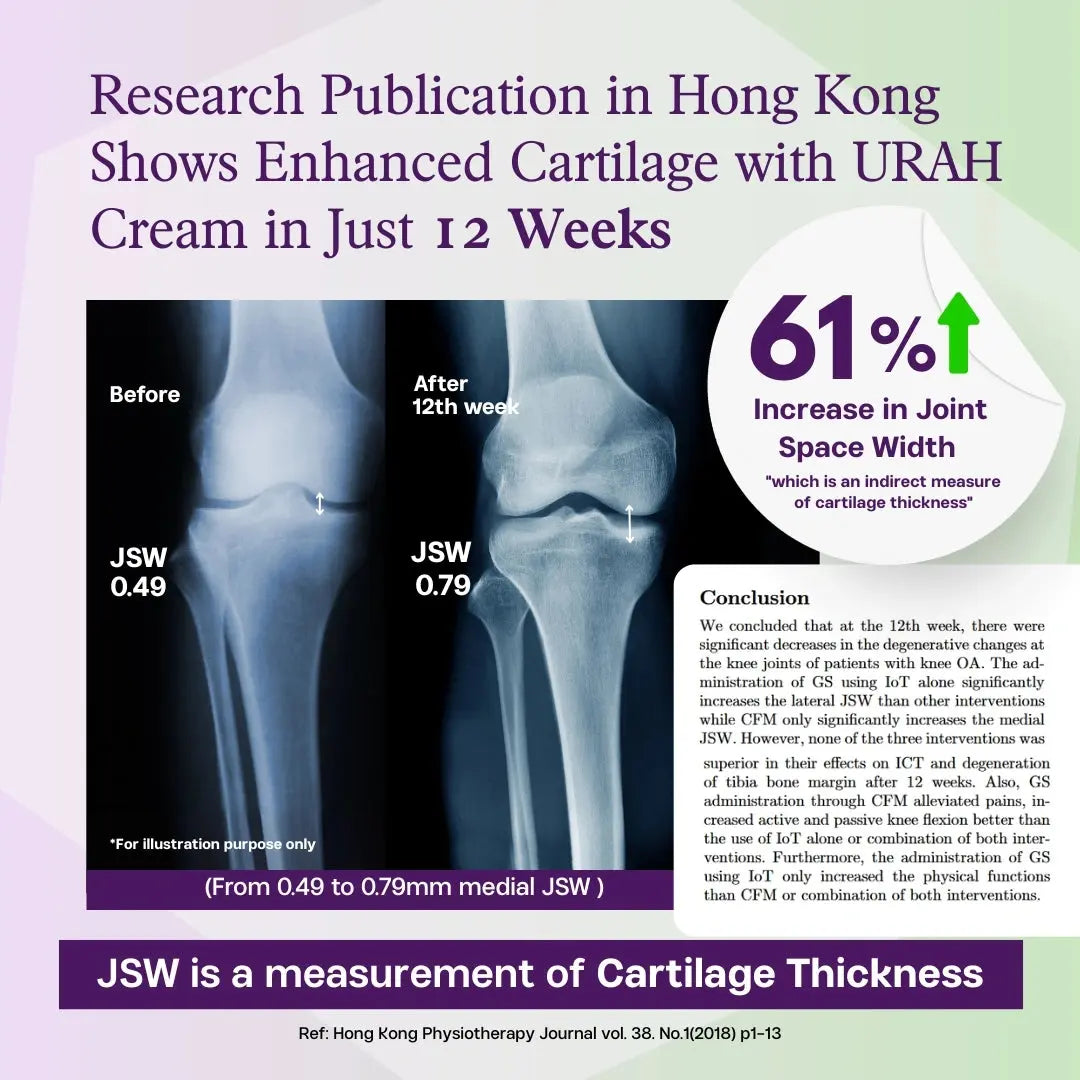 [Single Pack: 3-Month Supply] Bone health Bio-Calcium Micellar Cream