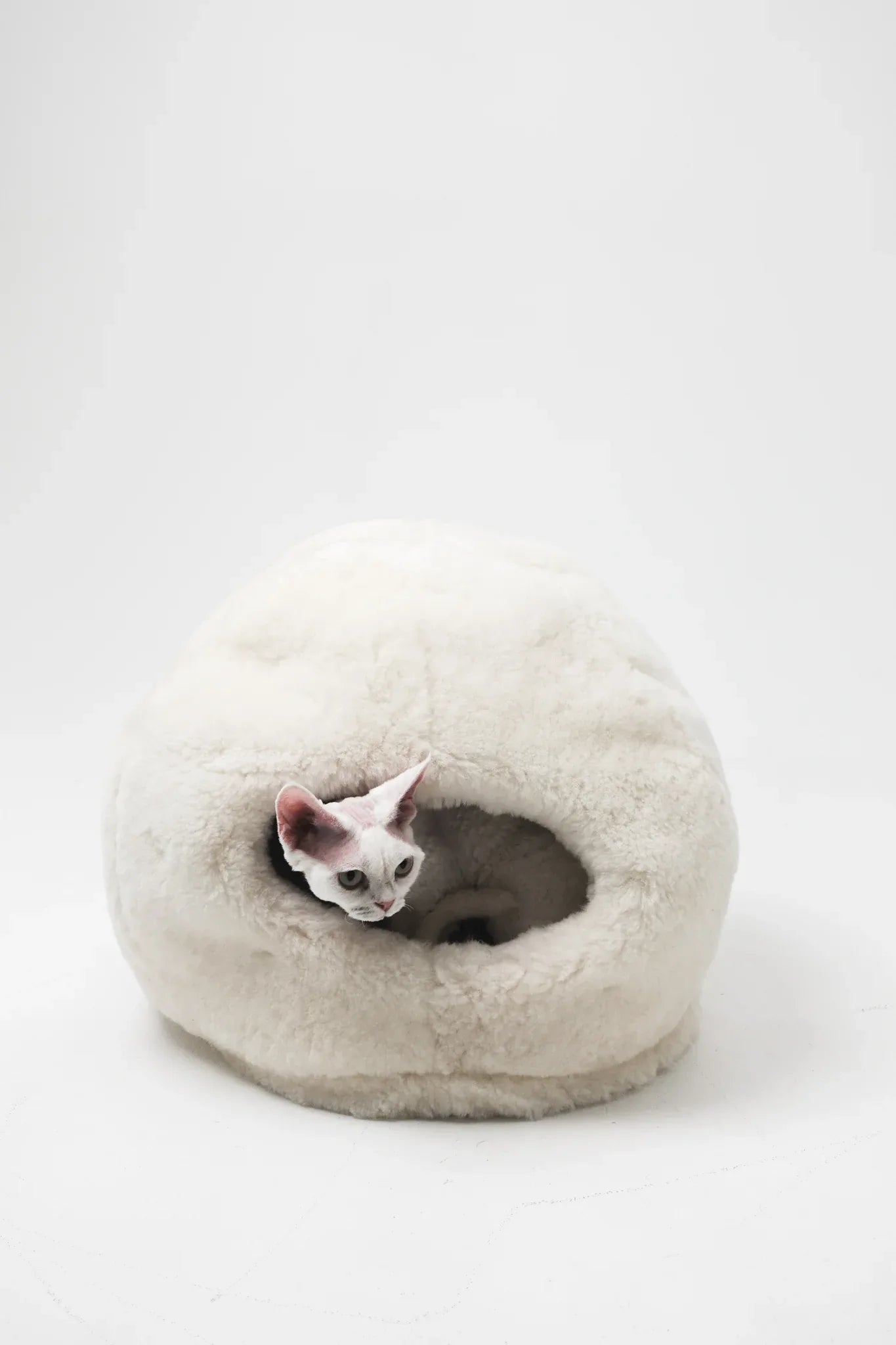 Nest Natural Sheepskin Pet Bed - White