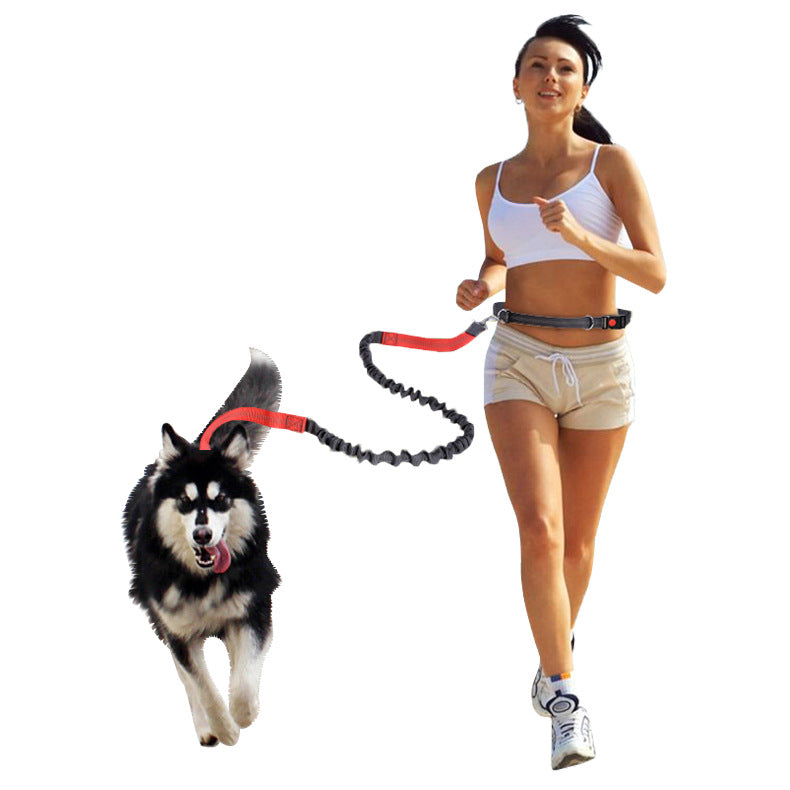 Elastic Reflective Pet Running Traction Belt