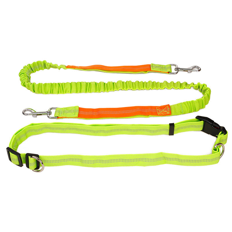 Elastic Reflective Pet Running Traction Belt