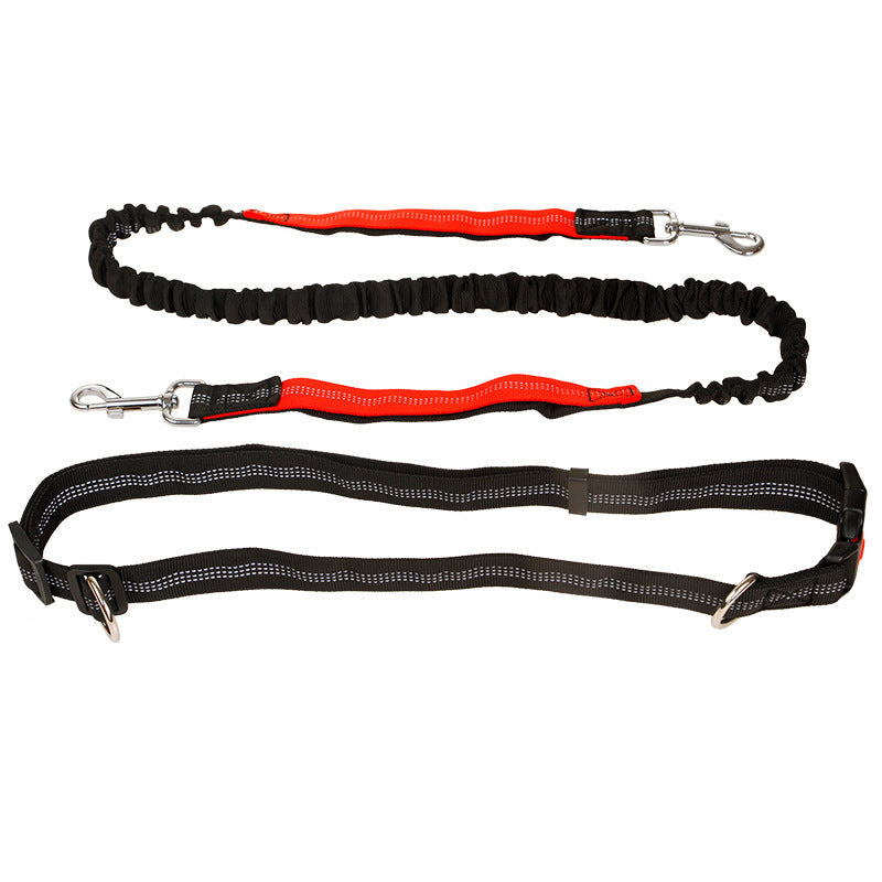 Elastic Reflective Pet Running Traction Belt