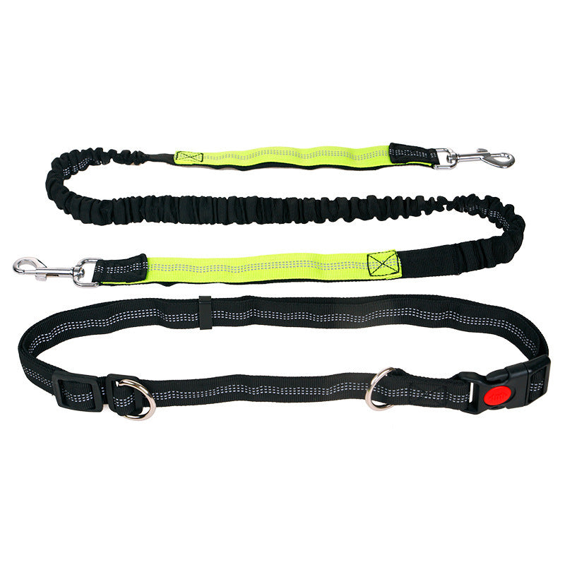 Elastic Reflective Pet Running Traction Belt