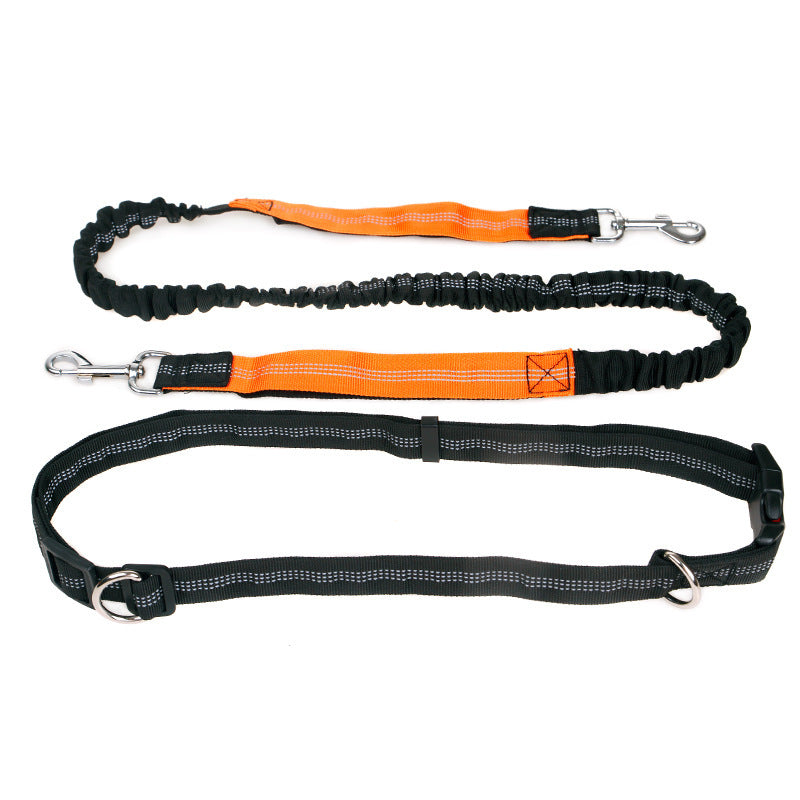 Elastic Reflective Pet Running Traction Belt