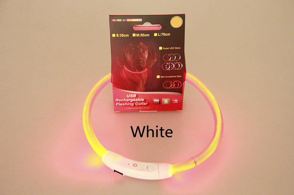 USB Rechargeable Safety Pet Collar
